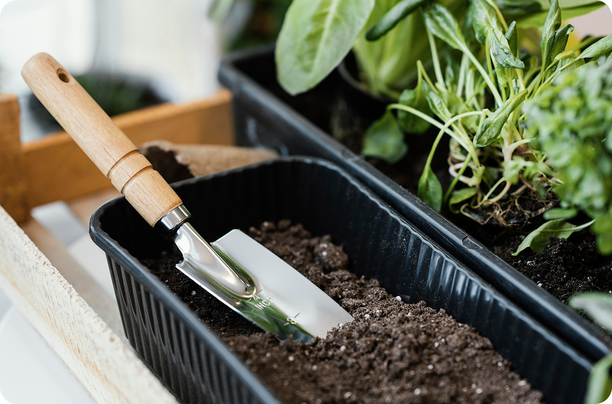Thrifty Indoor Harvest: Repurposing Waste for Maximum Food in Small Spaces